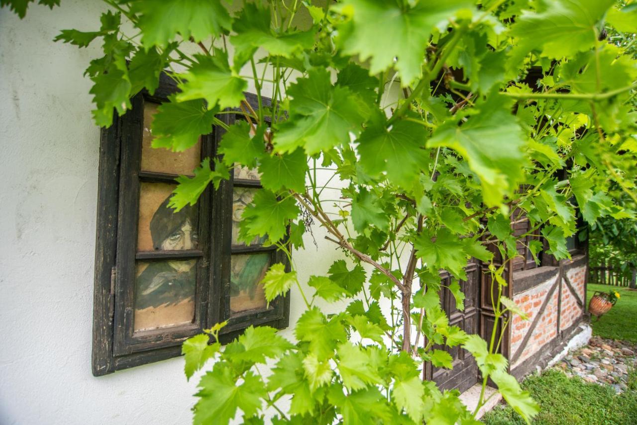 Lodge Morava Vrnjačka Banja Esterno foto